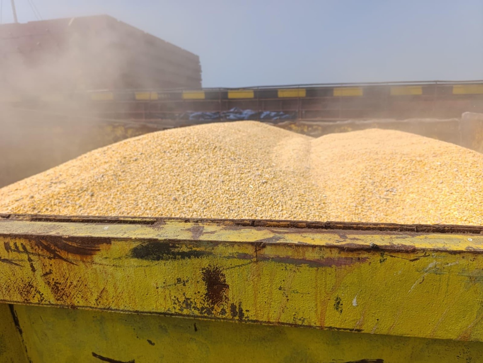 Mısır Unu