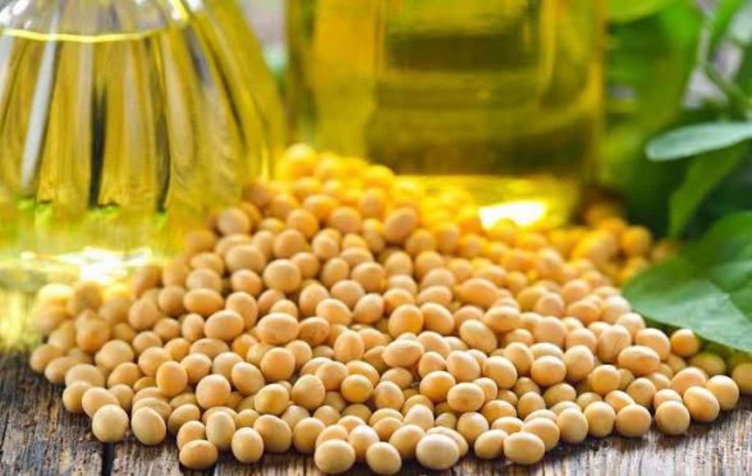 Soya Yağı